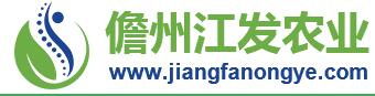 儋州江发农业开发有限公司委托我司开发公司网站